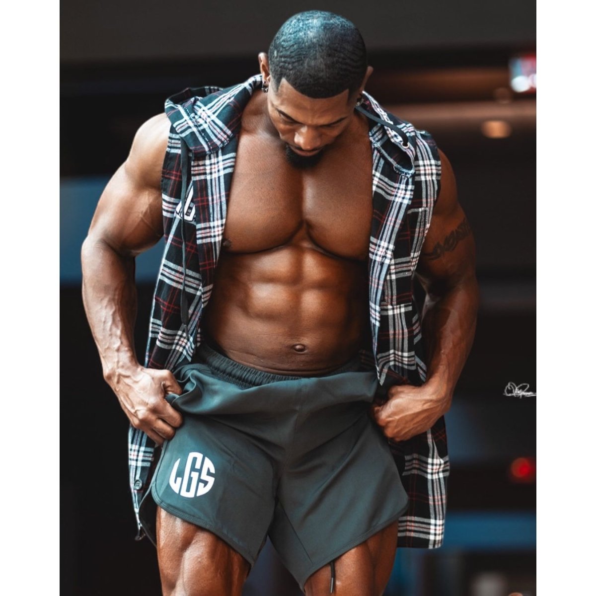 The Lumber Jack Sleeveless Plaid Hoodie at LGS Activewear